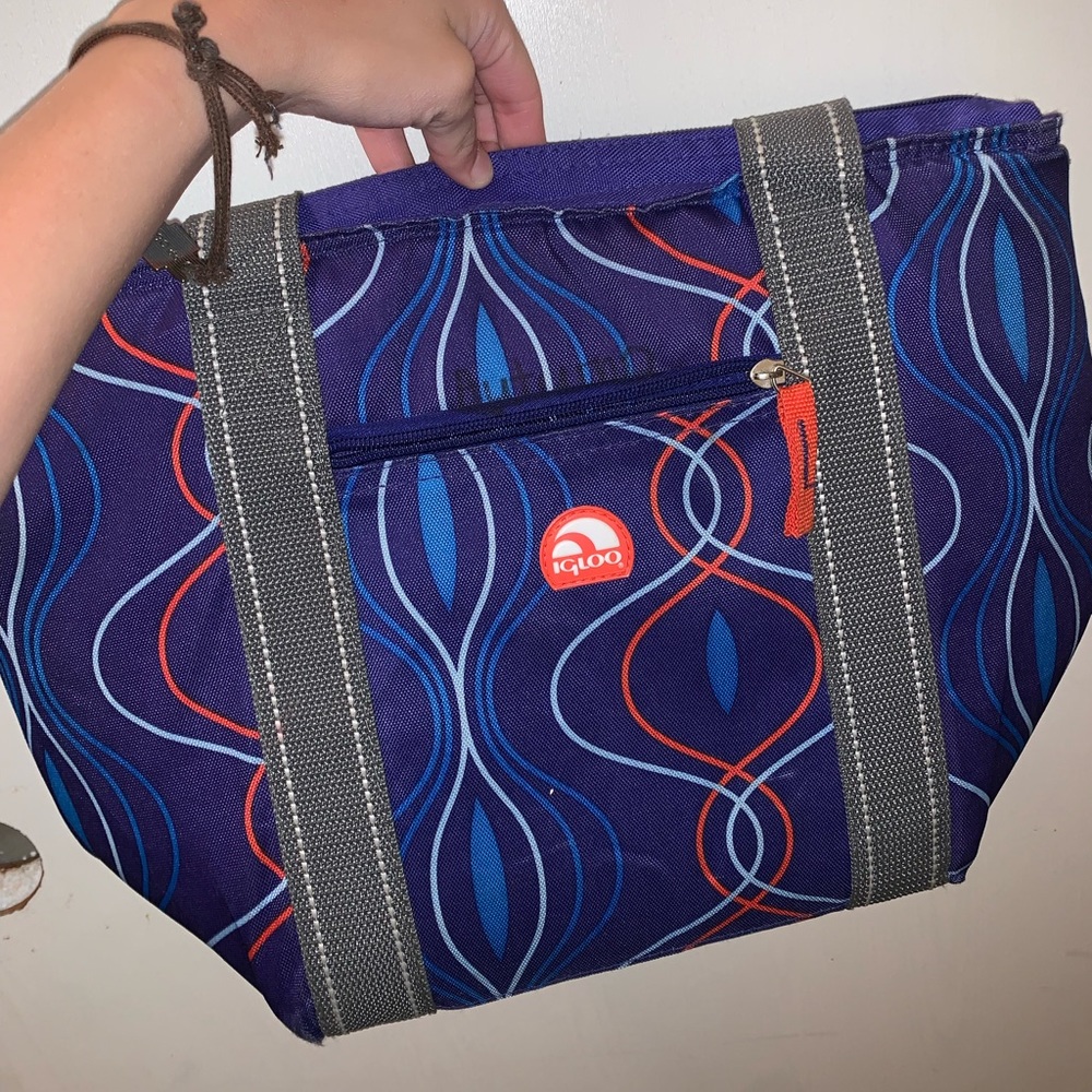 igloo insulated lunch bag